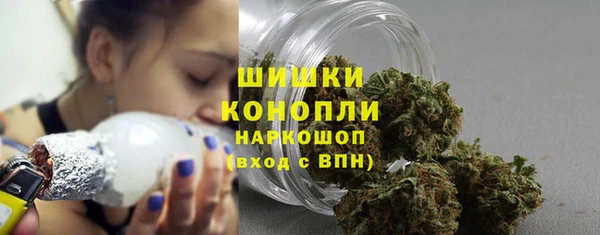 СК Новозыбков