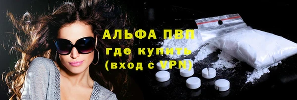 СК Новозыбков