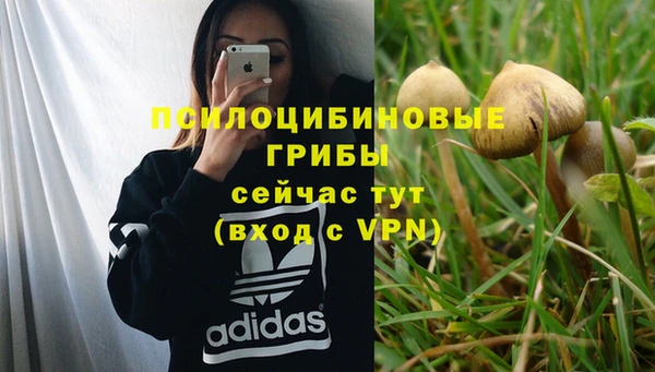 винт Новокубанск