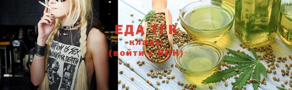 СК Новозыбков