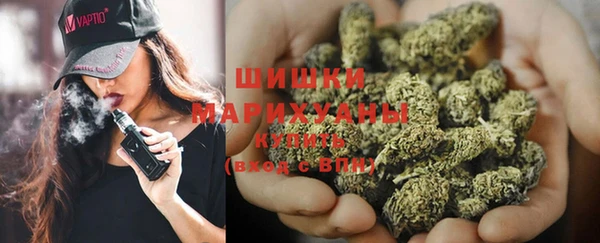 ПСИЛОЦИБИНОВЫЕ ГРИБЫ Новодвинск