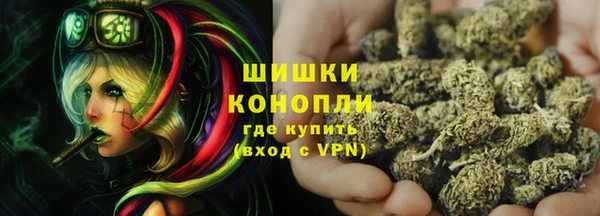 СК Новозыбков