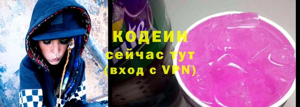 СК Новозыбков
